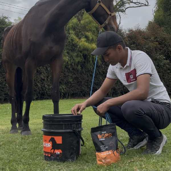 Ganaderos satisfechos con B-GOR probióticos para equinos y potros